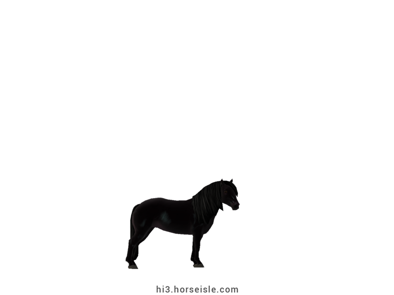 Brazilian Pony Ebony Black Coat